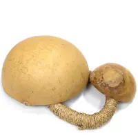 Alternative view of ひょうたんドラム ウォータードラム 3点セット （r133-28）