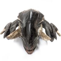 バウレ族牡羊マスク 32cm アフリカンアート 仮面  （r211-20）